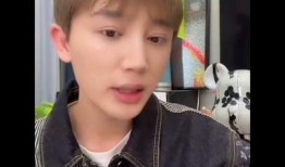 李朝网红爆料视频大全,揭秘网络红人背后的故事